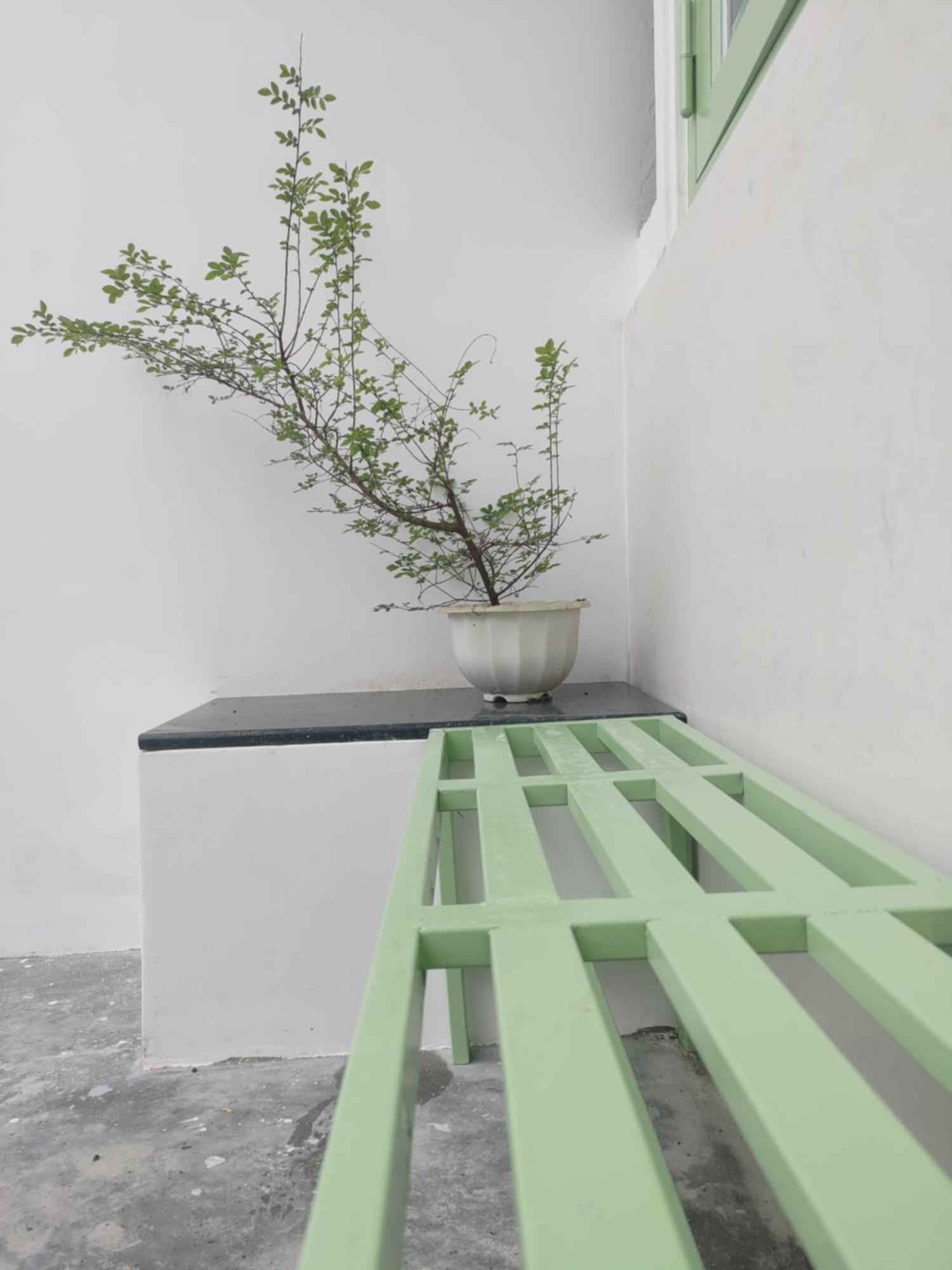 Hahe Homestay 大叻 外观 照片